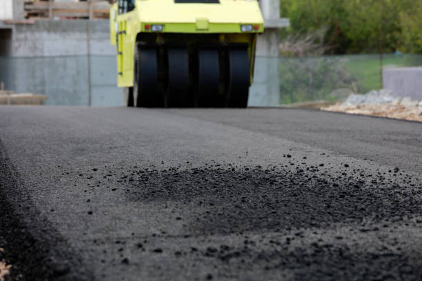 Best Driveway Pavers Near Me  in West Hammond, NM